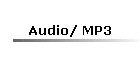 Audio/ MP3