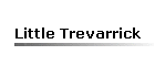 Little Trevarrick